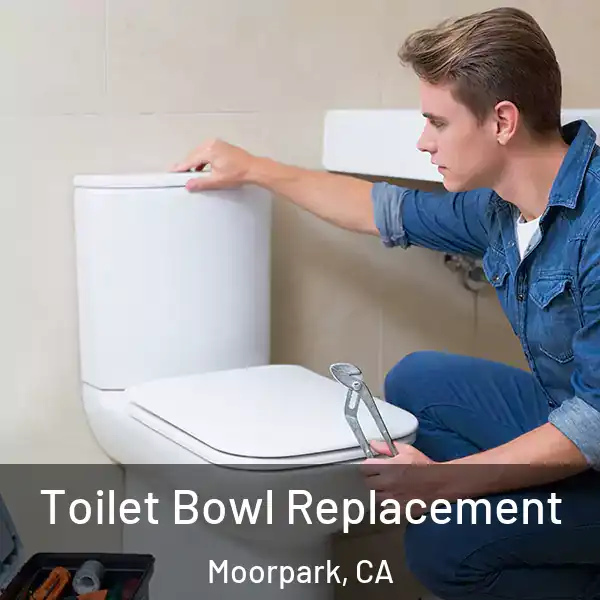  Toilet Bowl Replacement Moorpark, CA